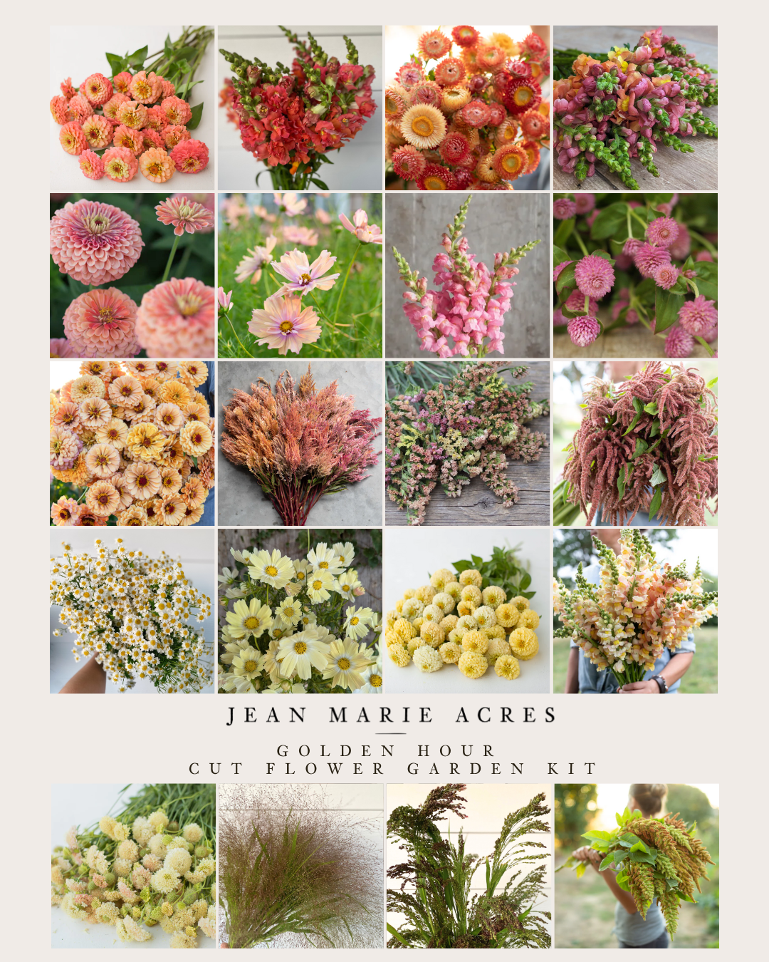 Cut Flower Garden Kit Pre-Order