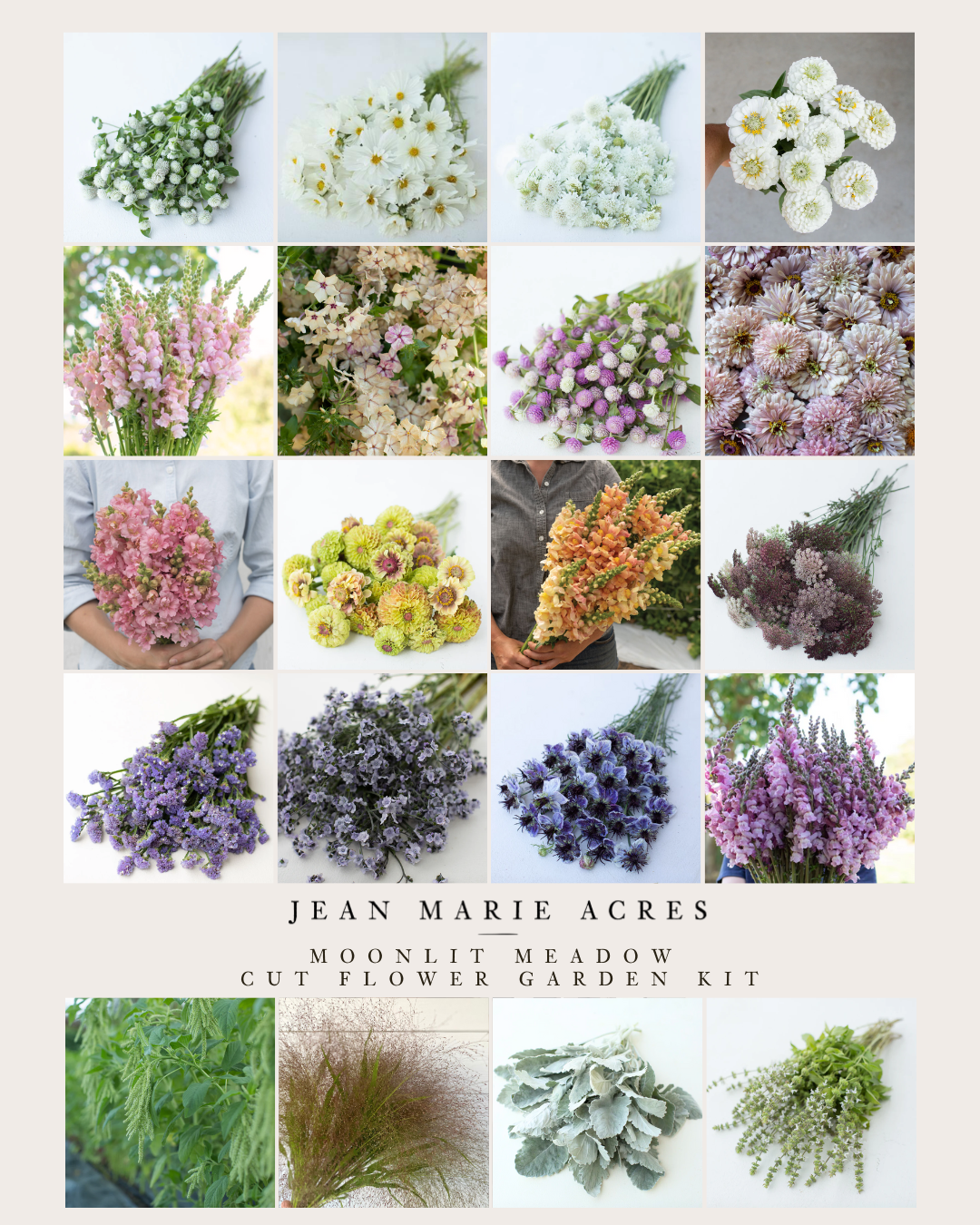 Cut Flower Garden Kit Pre-Order