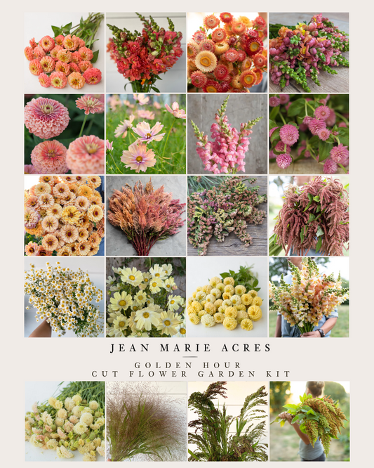 Cut Flower Garden Kit Pre-Order